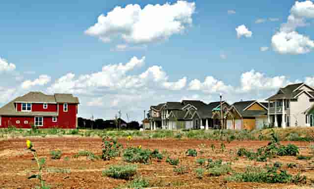 袖虎病狗攻略：狗狗泪痕重怎么办？