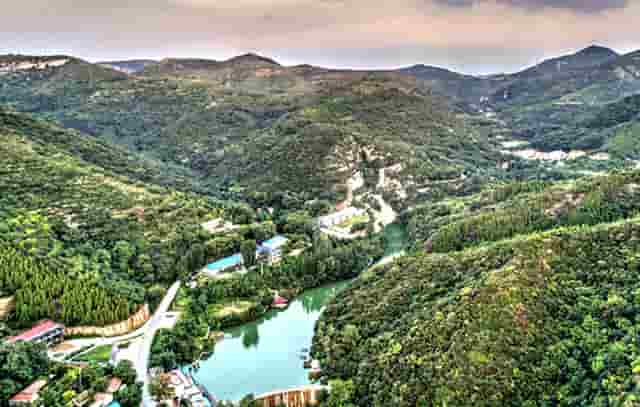 袖虎带你注意宠物美容的问题