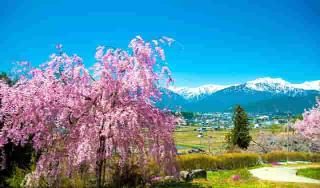 穿着时尚的技巧(你认为穿着时尚有必要吗)