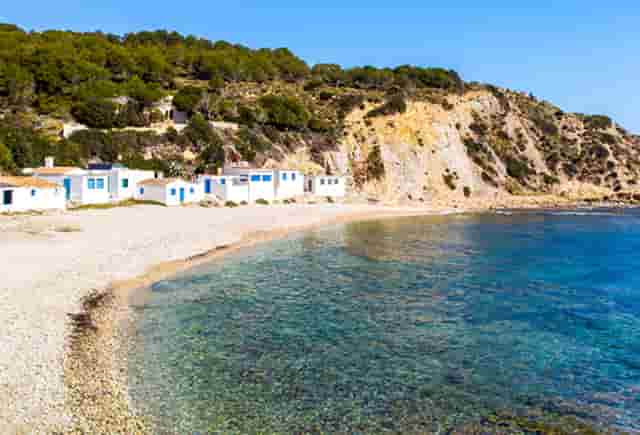 袖虎病猫攻略：捡到幼猫怎么养