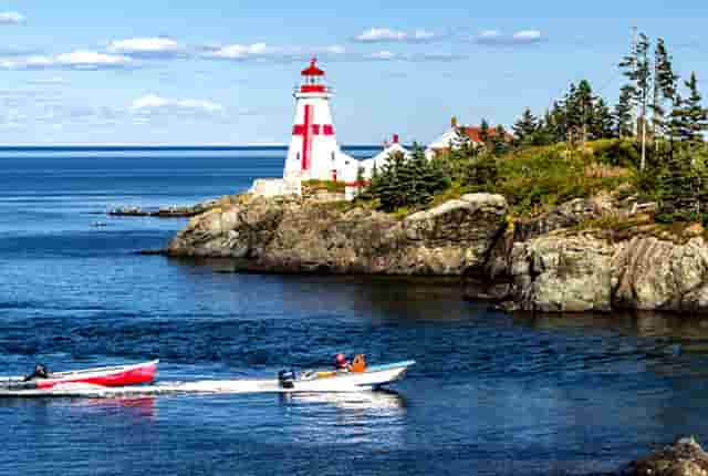 东京奥运会的失误(东京奥运会开闭幕式时间)