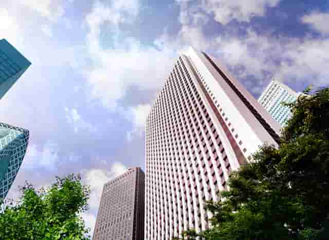 袖虎病猫攻略：猫咪嘴肿怎么办？