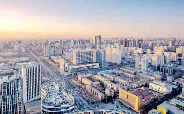 袖虎病狗攻略：关于狗狗断尾那些你不知道的事